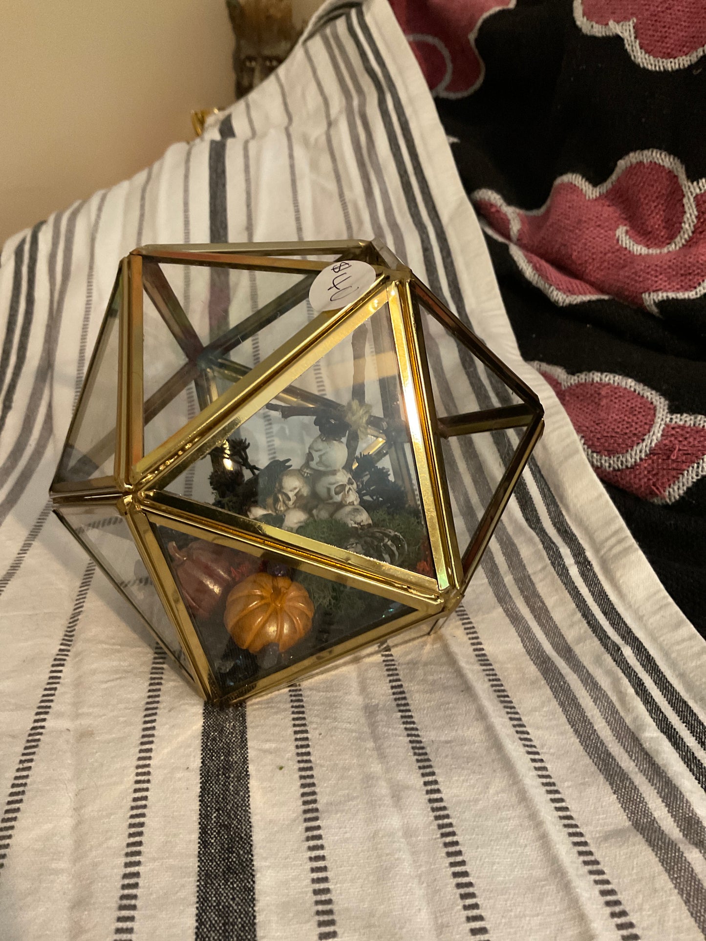 Skull pile terrarium