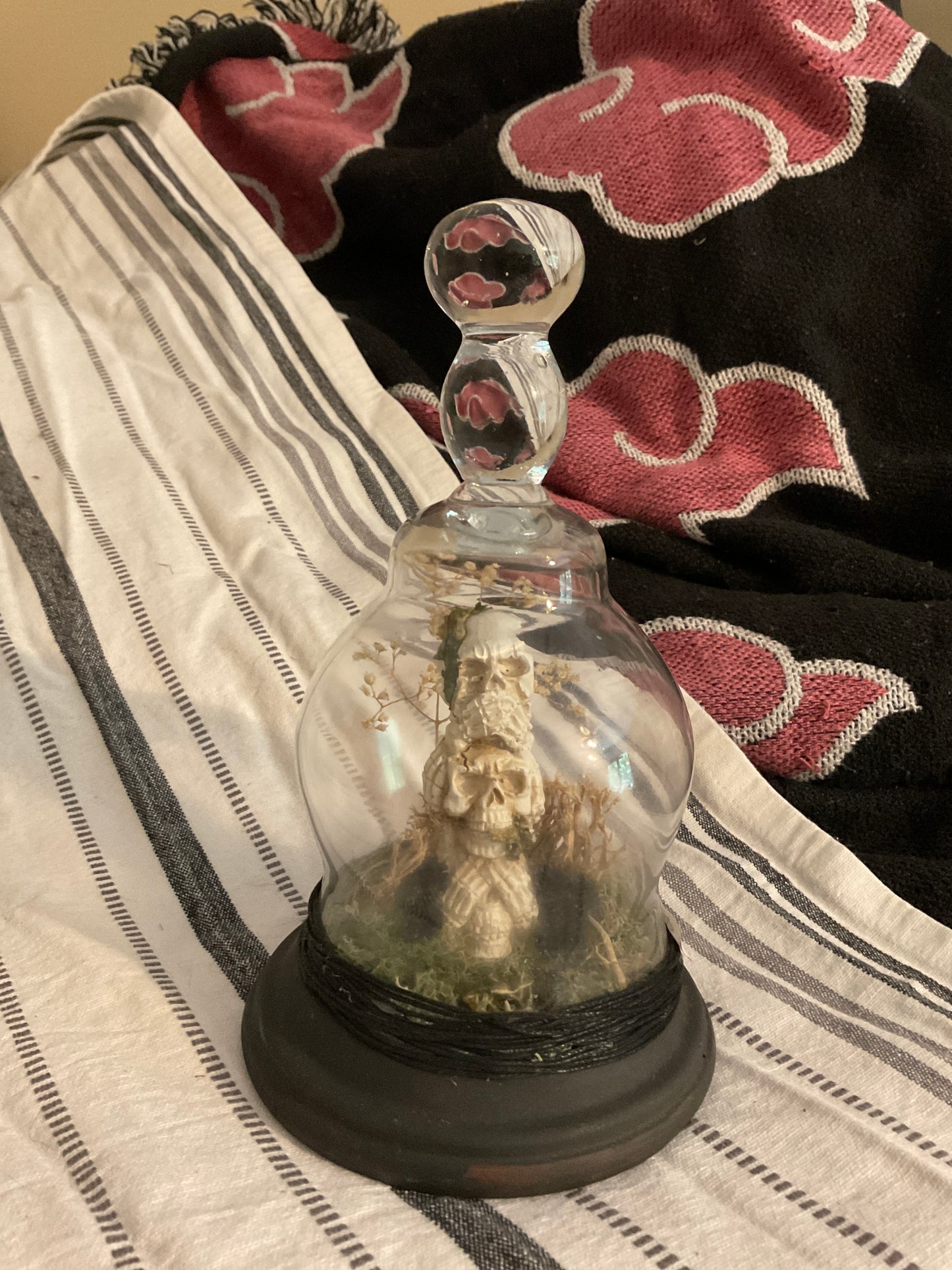 Skull terrarium