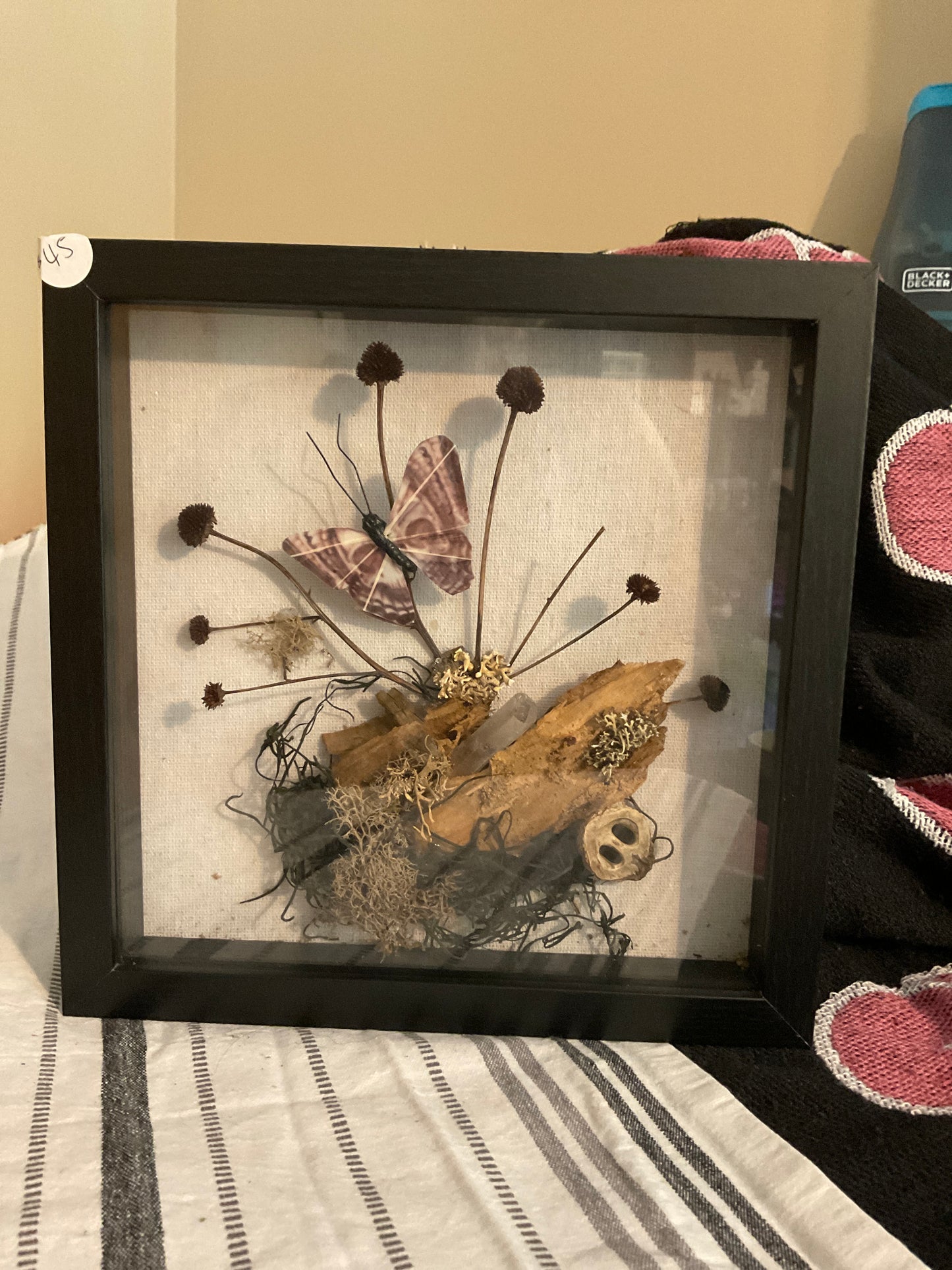 Dark wings shadow box