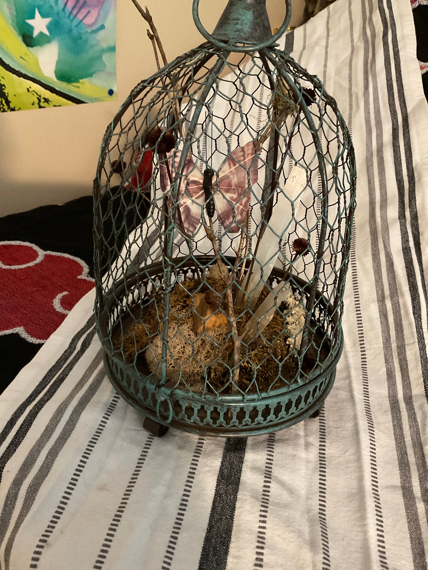 Cicada and Crystals cage