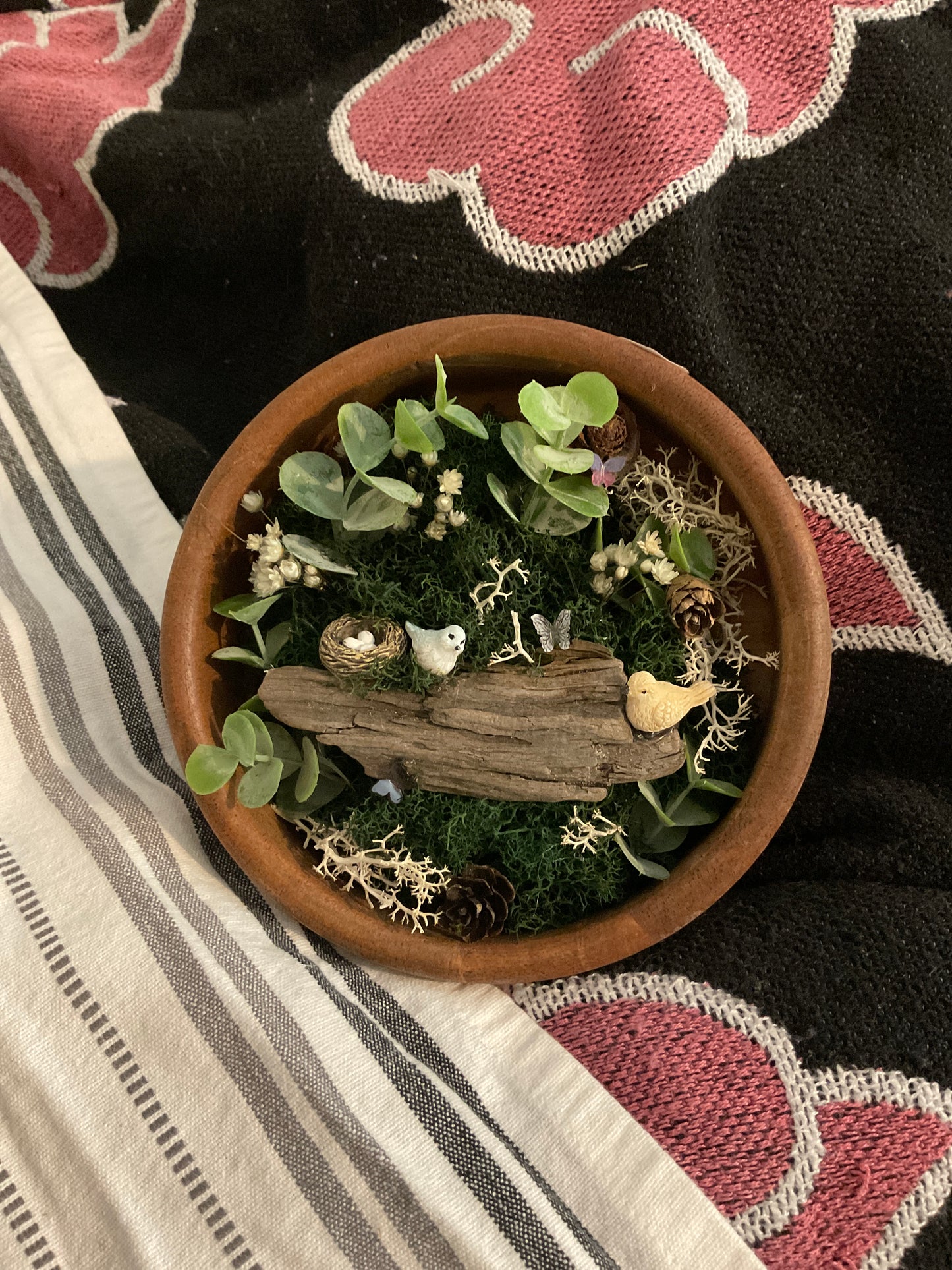 Natures nest