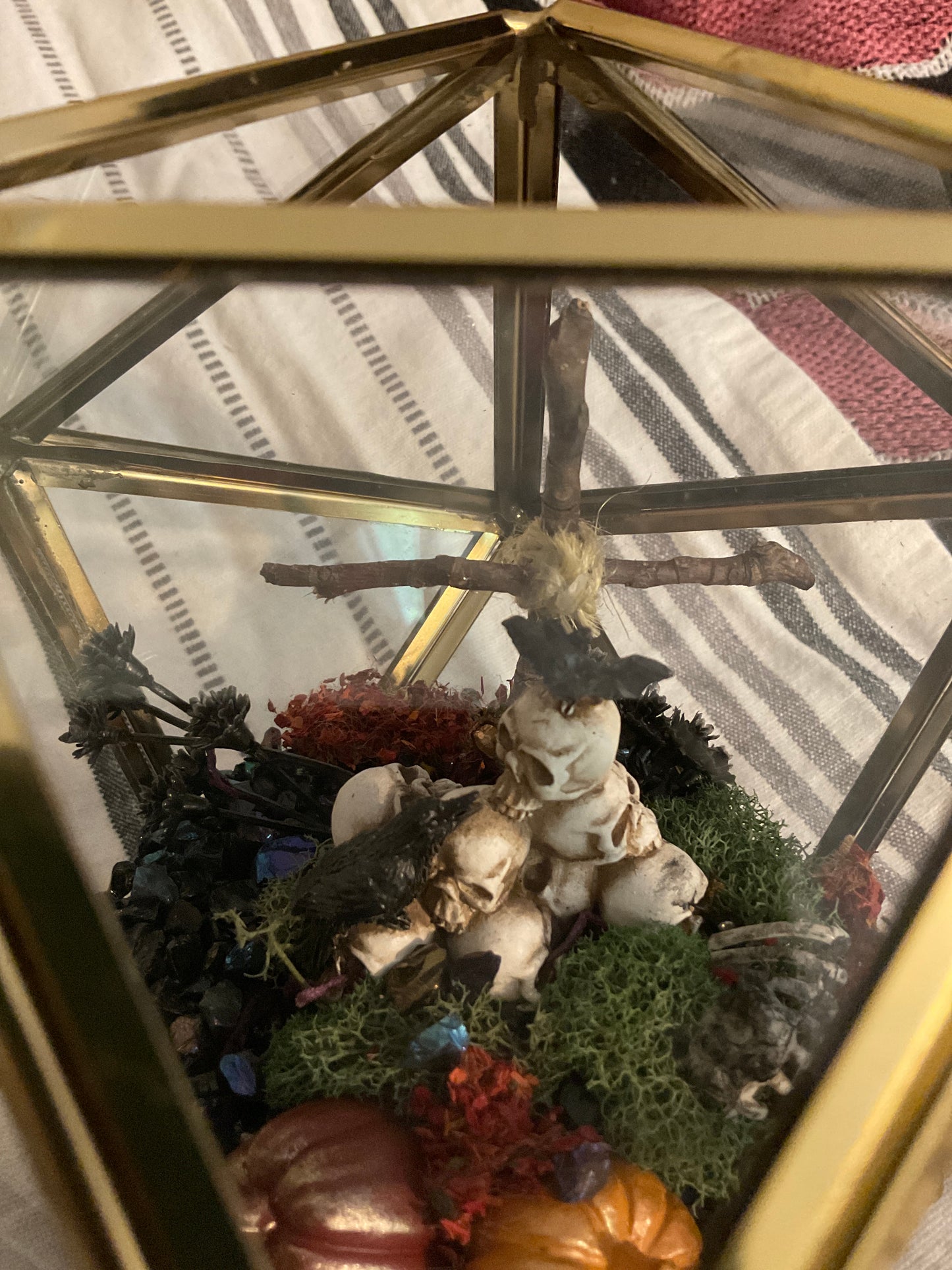 Skull pile terrarium