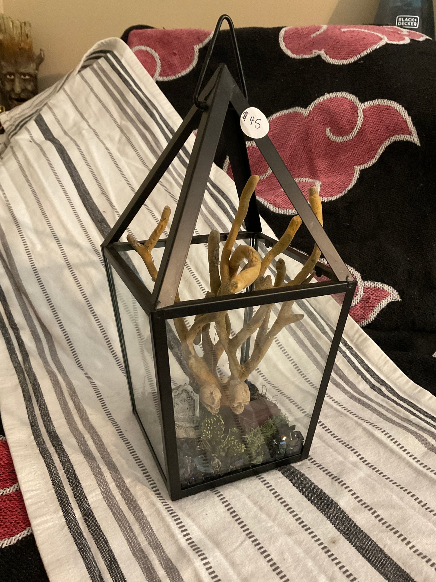 Wicked tree terrarium