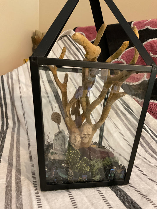 Wicked tree terrarium