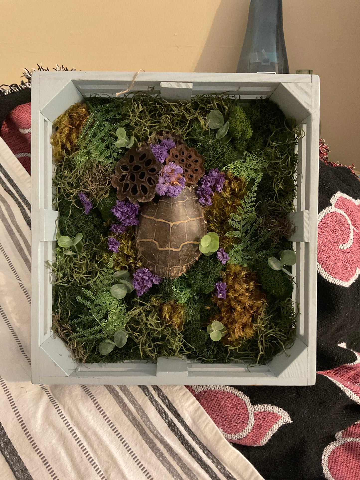 Turtle shell shrine