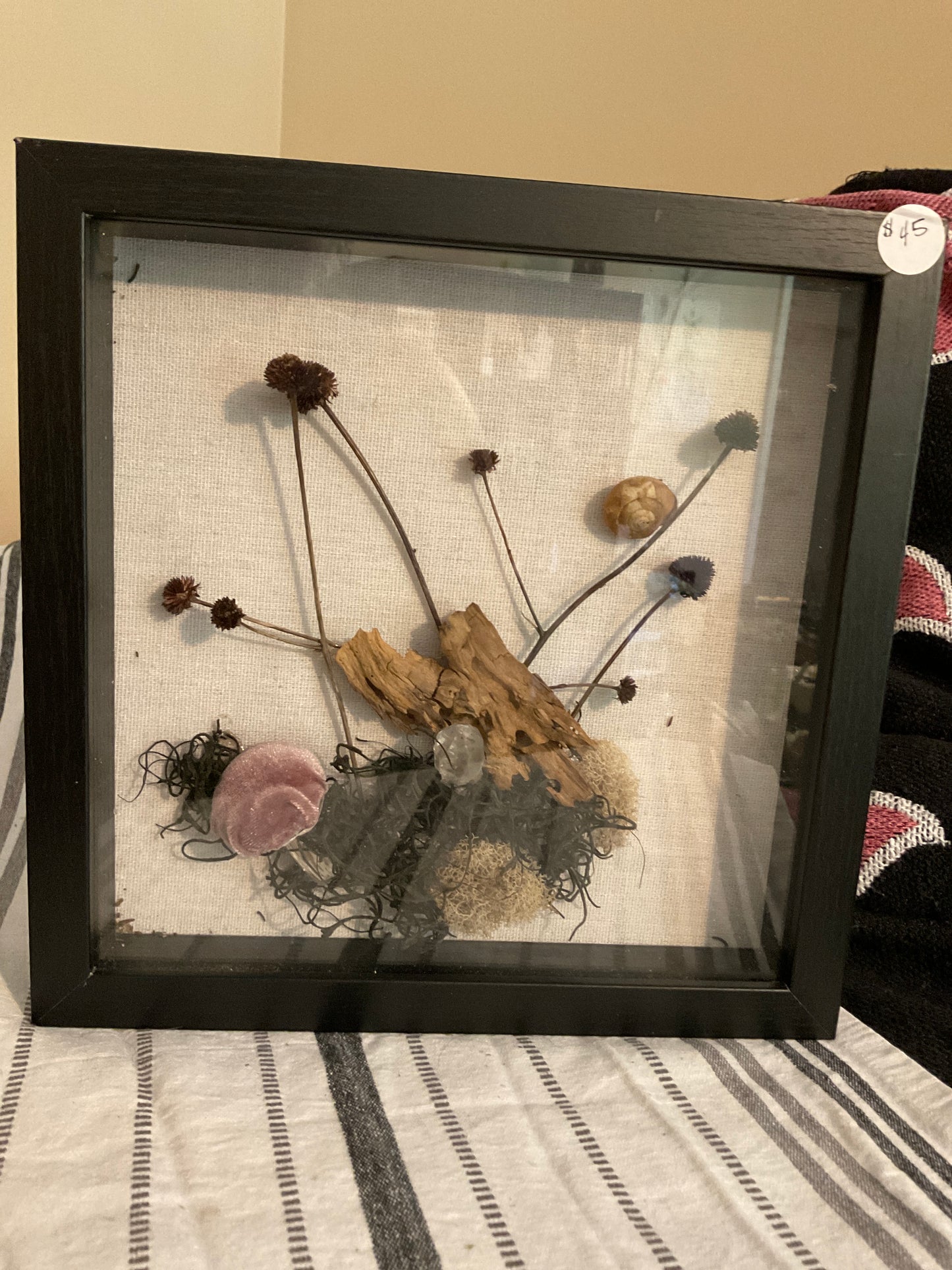 Snail shadow box
