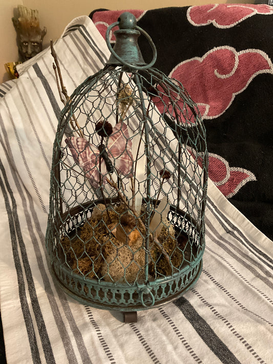 Cicada and Crystals cage