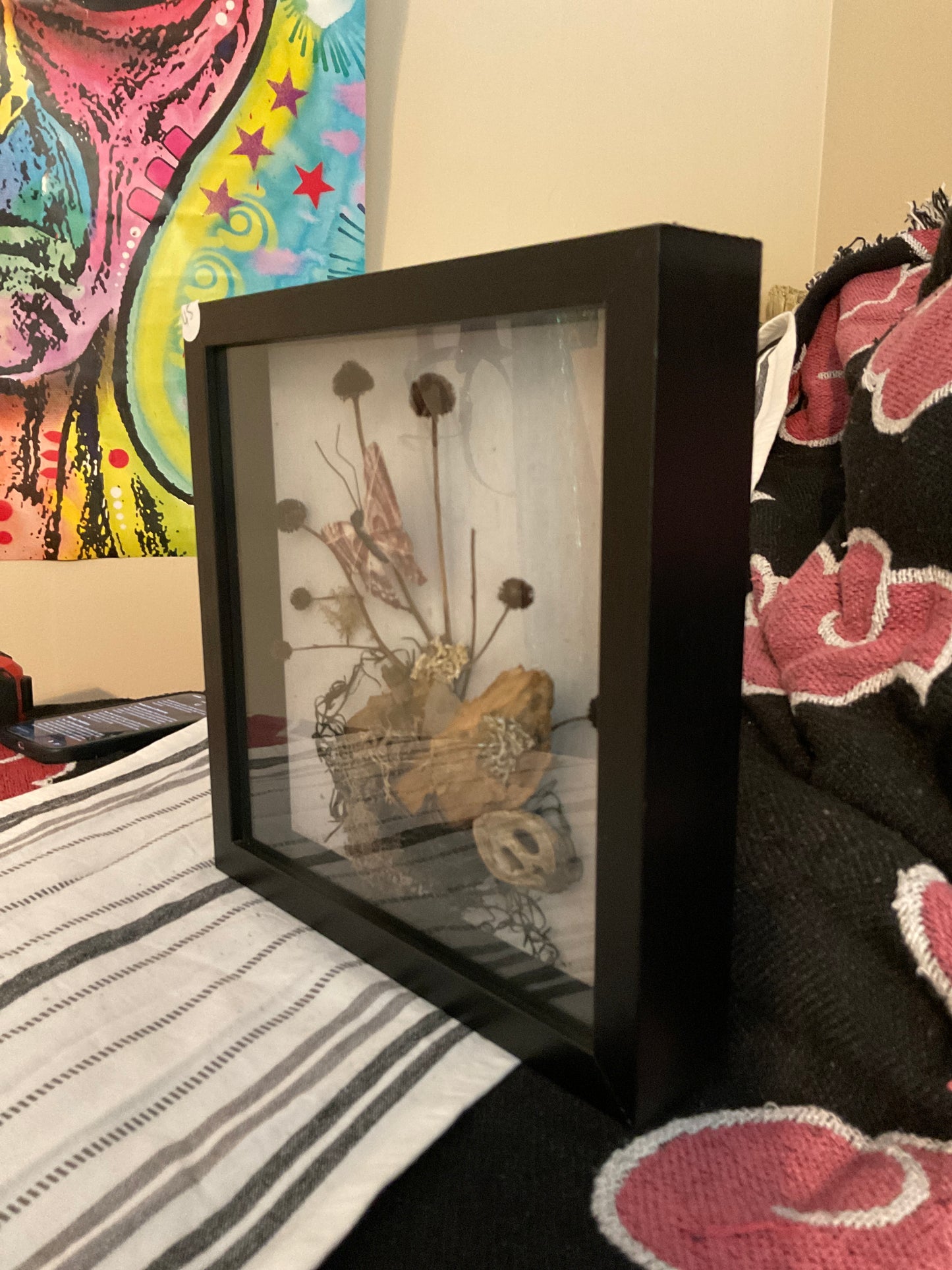 Dark wings shadow box