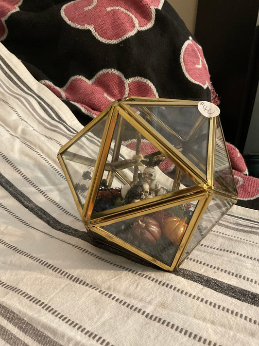 Skull pile terrarium