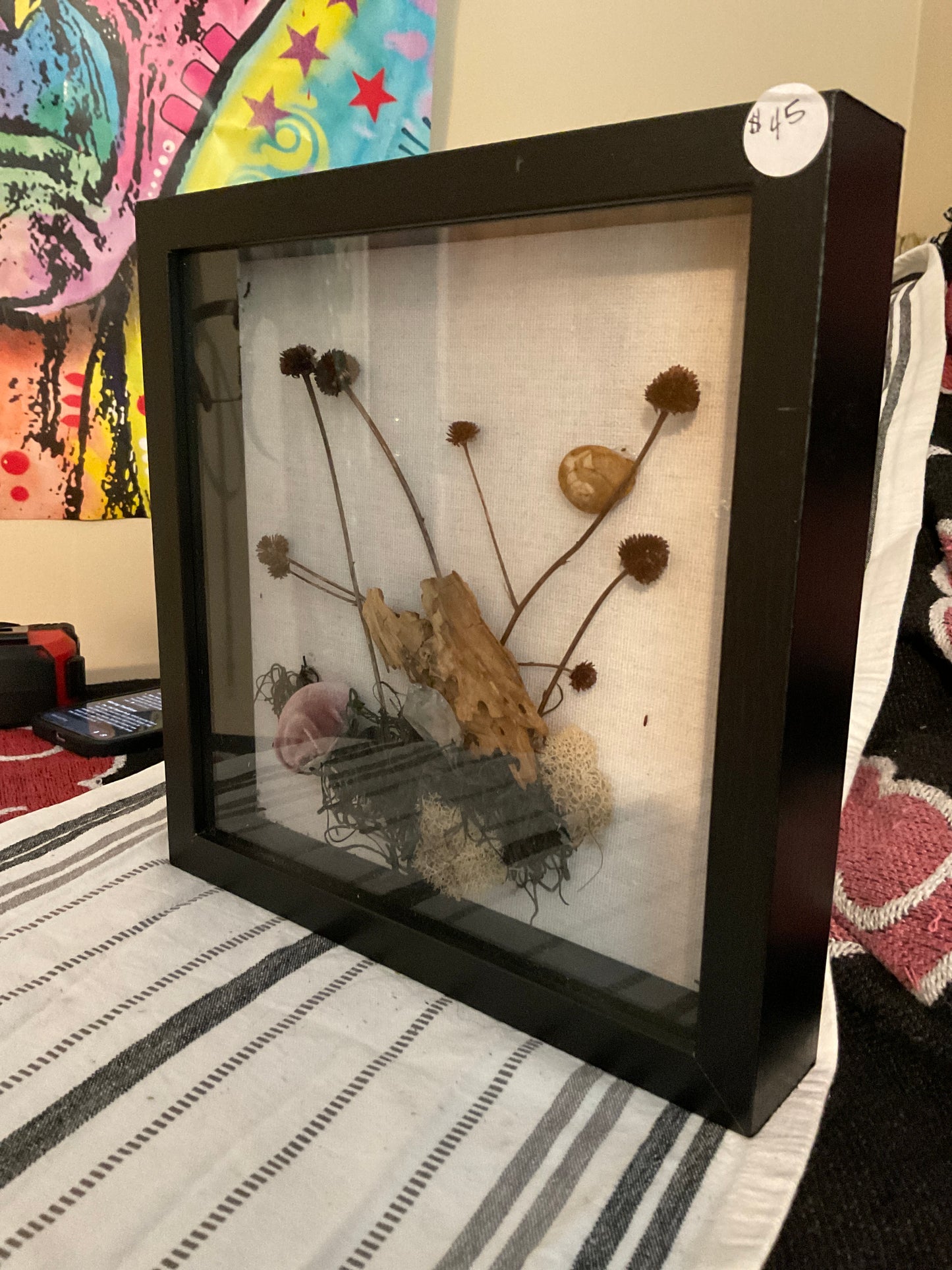 Snail shadow box