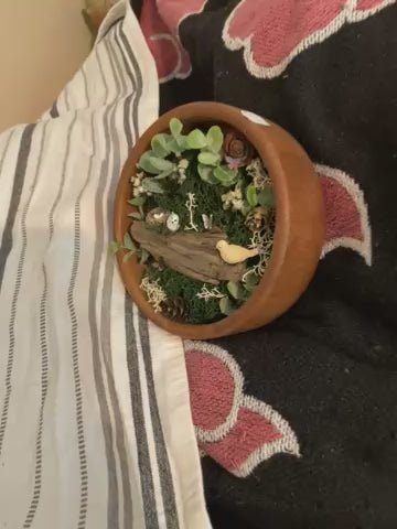 Natures nest