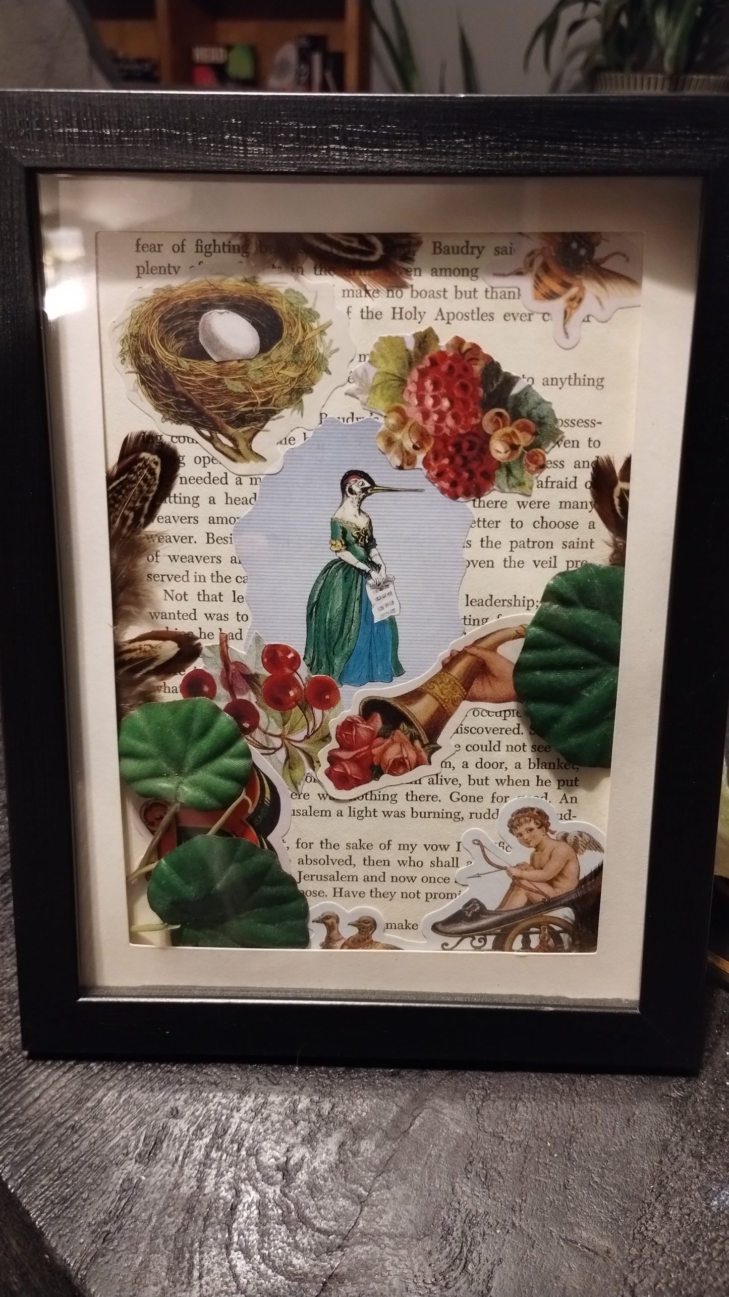 The beak and bonnet society collage