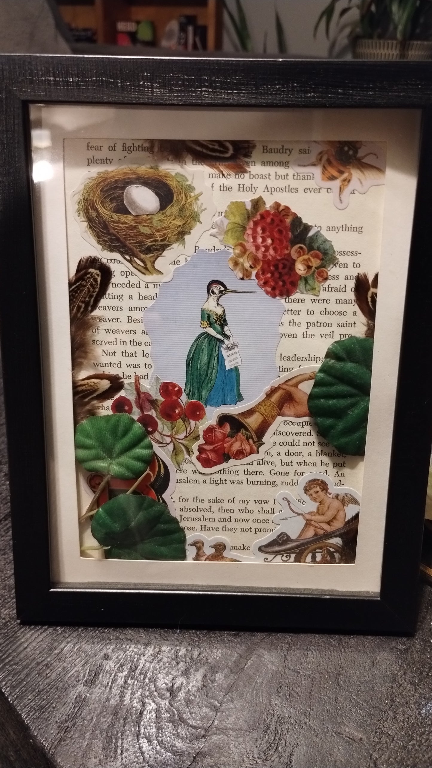 The beak and bonnet society collage